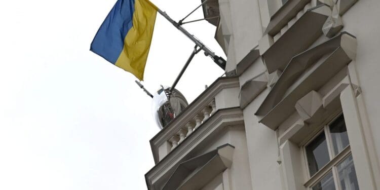 Більшість українських біженців у Австрії – високоосвічені: результати дослідження