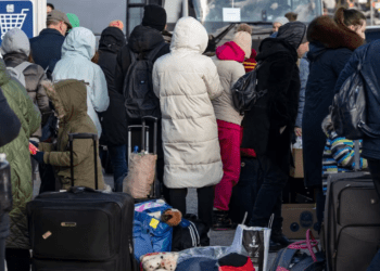 Українські біженці можуть отримати шведські номери соціального страхування та доступ до нових послуг