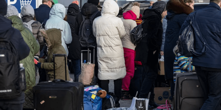 Українські біженці можуть отримати шведські номери соціального страхування та доступ до нових послуг