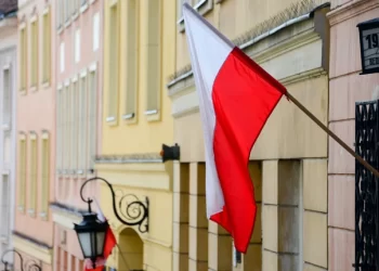 ЗМІ: Майже половина іноземних студентів у польських вишах – українці