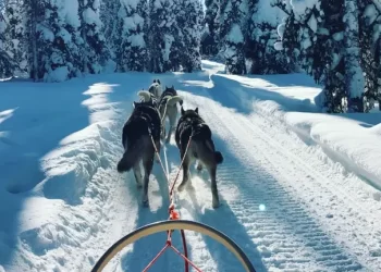 Село у казковій Лапландії заплатить сім’ям 900 євро за переїзд: але є одне “але”