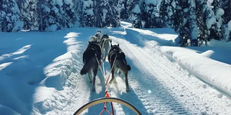 Село у казковій Лапландії заплатить сім’ям 900 євро за переїзд: але є одне “але”