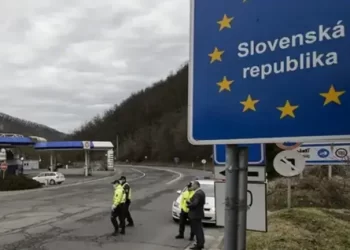 Основні митні правила Словаччини: які речі можна перевозити через кордон, а що – в жодному разі