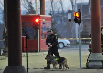 На кордоні з Молдовою та Румунією призупинено пропускні операції