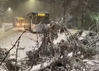 У Фінляндії через зимову негоду знеструмлені десятки тисяч домівок
