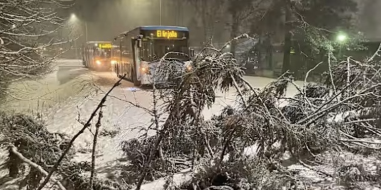 У Фінляндії через зимову негоду знеструмлені десятки тисяч домівок