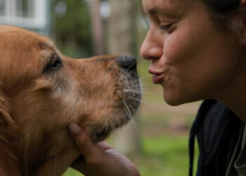 У Таллінні відбувся показ фільму про викрадених Путіним українських дітей