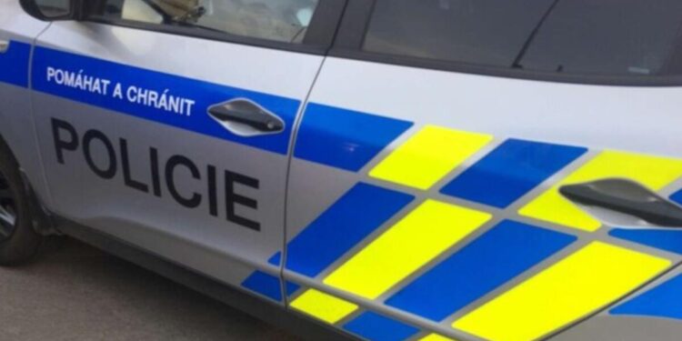 У Чехії місто хоче запровадити посади українських помічників поліції