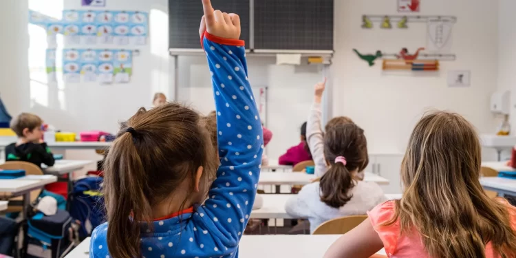 “Тут ніхто не лякає дітей директором”. Українка – про школи в Німеччині, роботу вчителькою без диплома і дивну ситуацію з англійською мовою