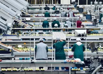 Українці у Польщі працюють більше, ніж поляки – дослідження