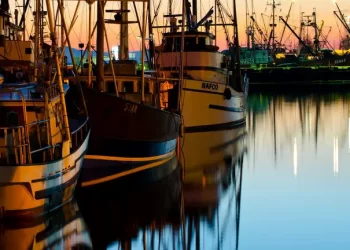 Українка 2 роки живе на кораблі в Нідерландах: вона розповіла про найдивніші правила на судні