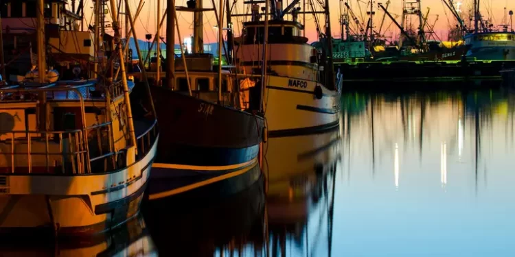 Українка 2 роки живе на кораблі в Нідерландах: вона розповіла про найдивніші правила на судні