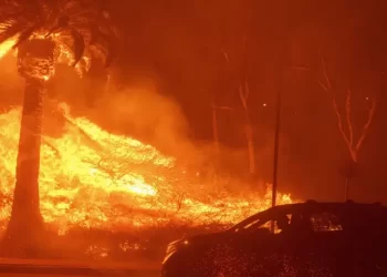 Каліфорнію охопила лісова пожежа: зірки Голлівуду рятуються від полум’я