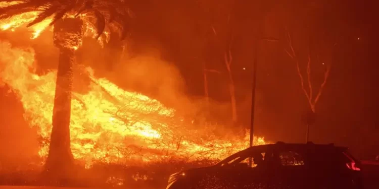 Каліфорнію охопила лісова пожежа: зірки Голлівуду рятуються від полум’я