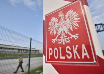 Конфіскують на кордоні. Що не можна везти із собою в Польщу: повний список