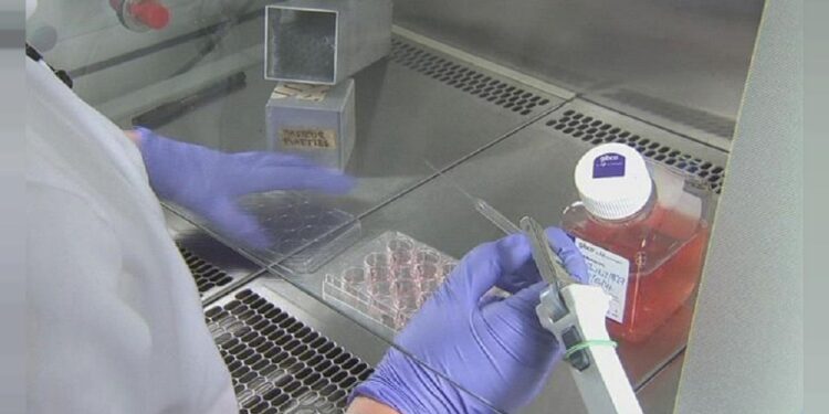 Новий китайський вірус вийшов за межі країни