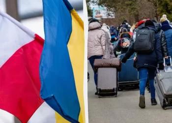 88% поляків за те, щоб позбавити виплати українців, які не працюють, – опитування