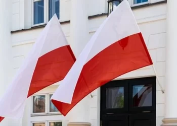 Вивчення польської мови. Які є безкоштовні курси для українців у Польщі