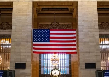 Митні правила США: що категорично заборонено ввозити в країну