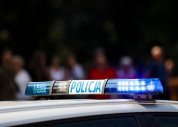 В центрі Варшави водій авто збив українку, а потім вдарив кулаком в обличчя