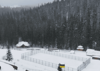 У Британії зафіксували рекордні морози за останні 15 років