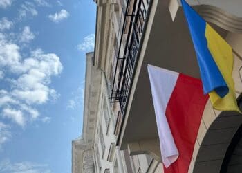 Дослідження Pollster: більшість опитаних підтримує виплату «800+» лише українцям, які працюють