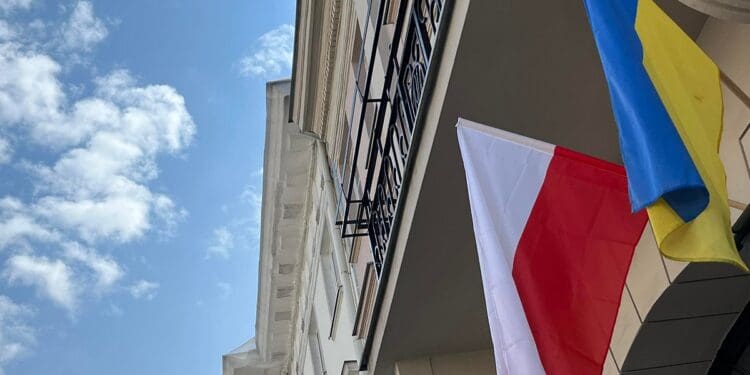 Дослідження Pollster: більшість опитаних підтримує виплату «800+» лише українцям, які працюють