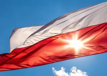 Допомога для українців у Польщі 2025: нові виплати, карта побиту CUKR й інші важливі зміни