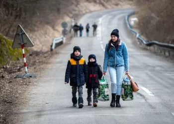 Українські біженці продовжують виїзджати за кордон та активно адаптуються в інших країнах — дослідження