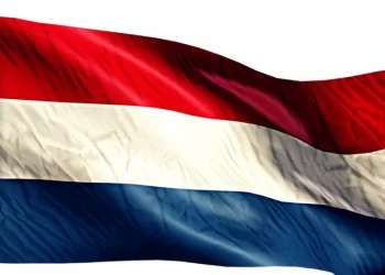 Українці в Європі: які виплати та скільки можна отримати в Нідерландах у 2025 році