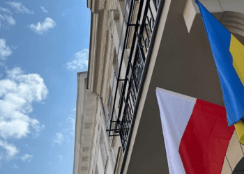 Дослідження Pollster: більшість опитаних підтримує виплату «800+» лише українцям, які працюють