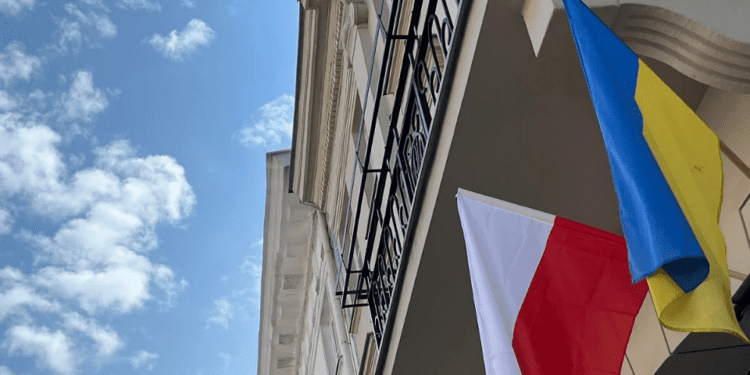 Дослідження Pollster: більшість опитаних підтримує виплату «800+» лише українцям, які працюють