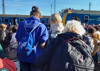 Українські біженці в Естонії залишаться без частини виплат: хто і які гроші втратить