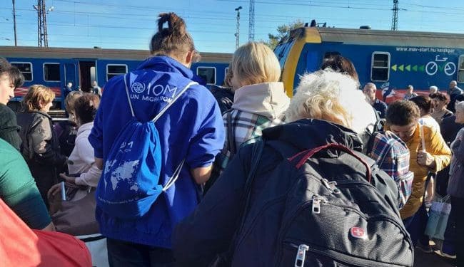 Українські біженці в Естонії залишаться без частини виплат: хто і які гроші втратить