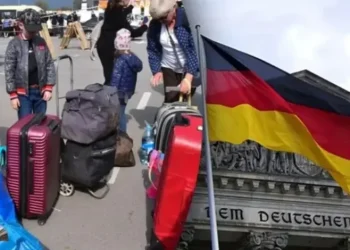 Нові законодавчі зміни в Німеччині для українців: хто отримає захист і як подати заявку