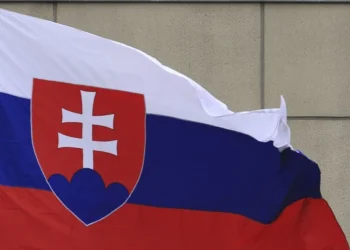 Українські біженці в Словаччині принесли бюджету вдвічі більше, ніж отримали допомоги — урядове дослідження