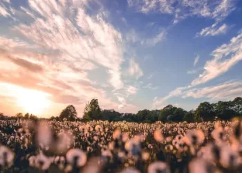 Куди поїхати відпочити у Польщі: 10 незабутніх вражень