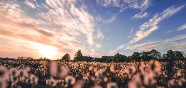 Куди поїхати відпочити у Польщі: 10 незабутніх вражень