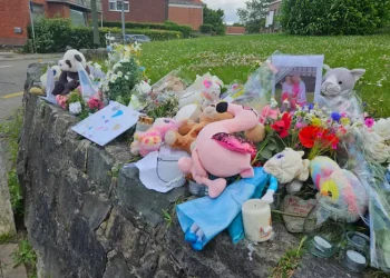 16-річний українець, який зізнався у вбивстві матері та сестри в Бельгії, назвав мотив