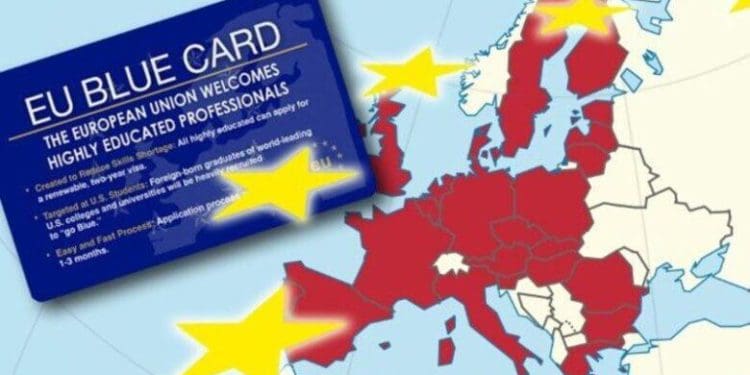 Блакитна карта ЄС у Польщі: що варто знати українцям