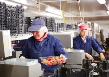 Робота в Польщі: що пропонують українцям та скільки платять