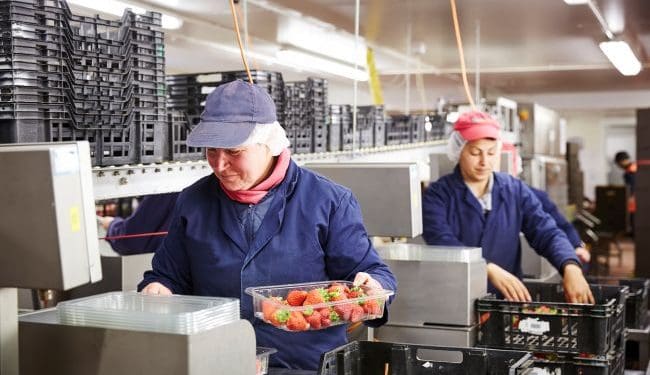 Робота в Польщі: що пропонують українцям та скільки платять