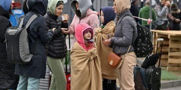 Куди рушили біженці: як змінилася географія притулку в Європі у 2025 році