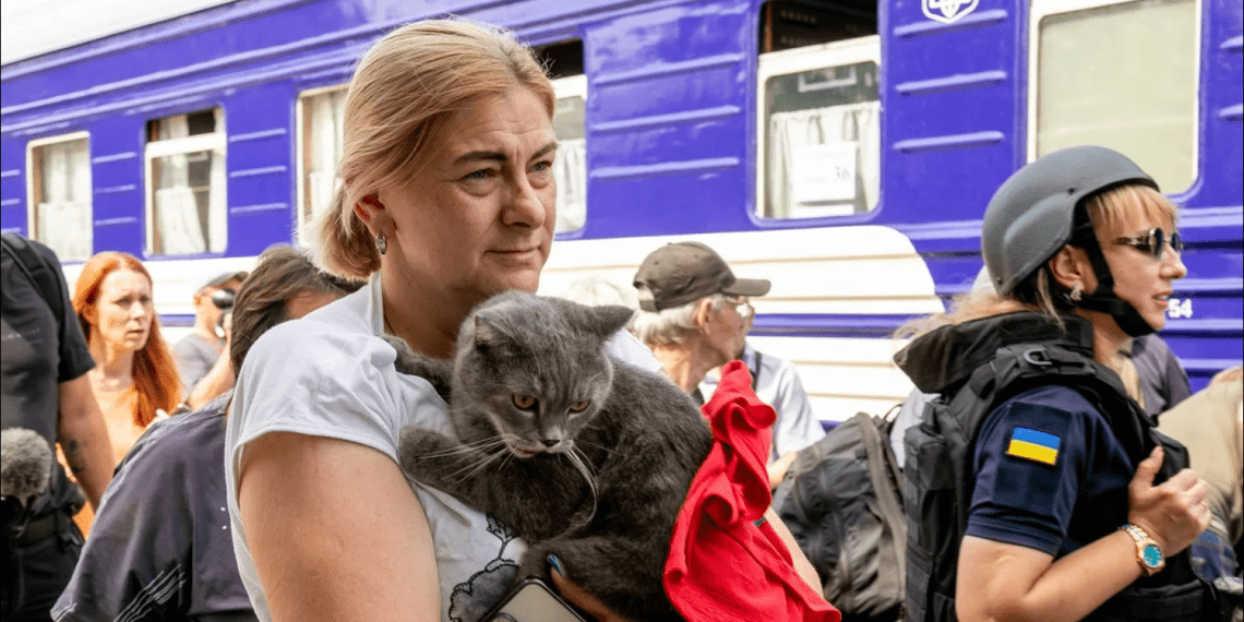 Посол України в Польщі: 70 відсотків українців, які виїхали, готові повернутися в Україну