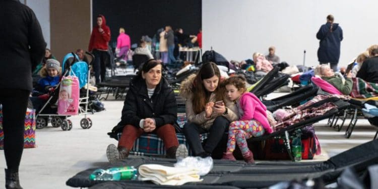 Повні притулки, порожні відповіді: що чекає на українців у Польщі після листопада