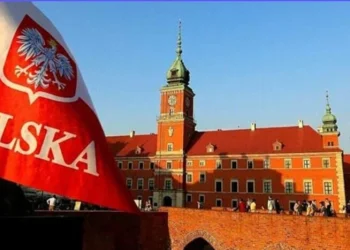 Як у Польщі отримати гроші від держави на нову спеціальність: покроковий план дій