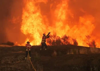 «Схоже на кінець світу». У Європі триває евакуація через масштабні пожежі у декількох країнах