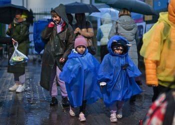 Вето Навроцького на допомогу українцям: Польща працює над врегулюванням статусу біженців