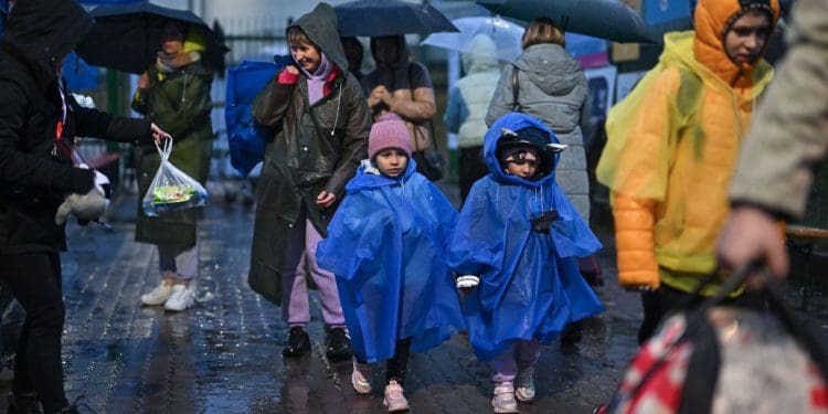 Вето Навроцького на допомогу українцям: Польща працює над врегулюванням статусу біженців