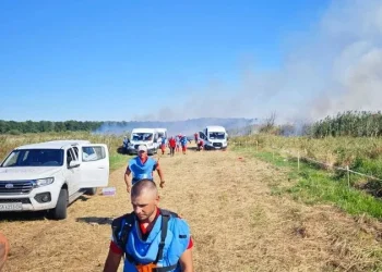 «Винятково цивільні роботи». Данська рада у справах біженців засудила ракетний удар РФ по розмінувальниках місії під Черніговом